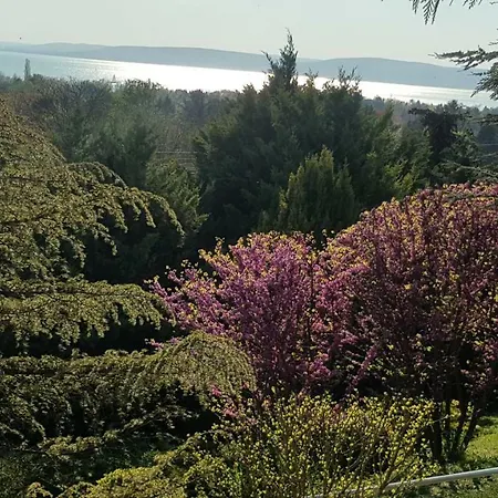 Mirador Balaton Panorama & Jacuzzi וילה
