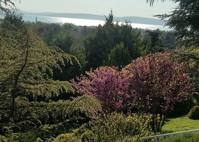 Mirador Balaton Design 别墅